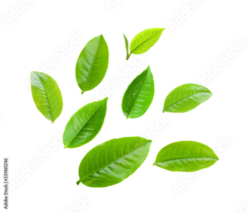  tea leaf isolated on white background