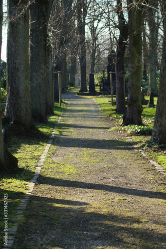 Fototapeta Naklejka Na Ścianę i Meble -  Friedhofsweg - Altstadtfriedhof Mülheim an der Ruhr