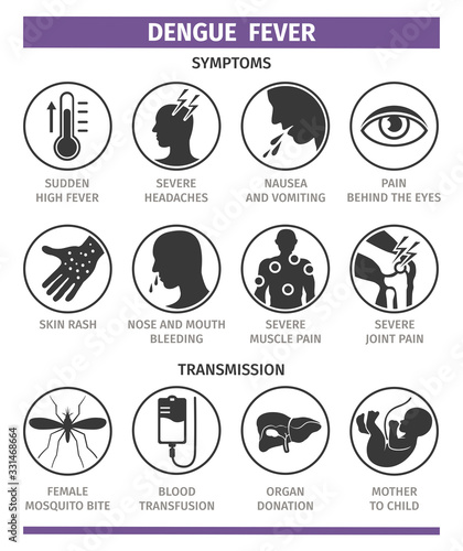 Symptoms and transmission of dengue fever. Template for use in medical agitation. Vector illustration, flat icons. photo