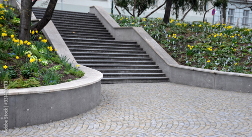 Photos gray stairway to park slopes around overgrown with narcissus pseudonarcissus yel