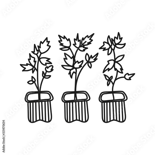 Simplified outline vector illustration of a seedlings on a white background.