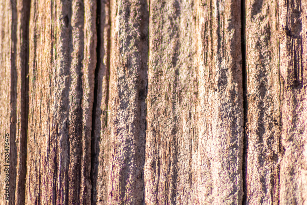 Altes marodes Holz eines gefällten Baumes verwittert im Wald und wird von Pilzen und Insekten zersetzt und wieder zu neuer Erde und Humus für neues Leben und Wachstum im Wald Altes marodes Holz eines gefällten Baumes verwittert im Wald und wird von Pilzen und Insekten zersetzt und wieder zu neuer Erde und Humus für neues Leben und Wachstum im Wald