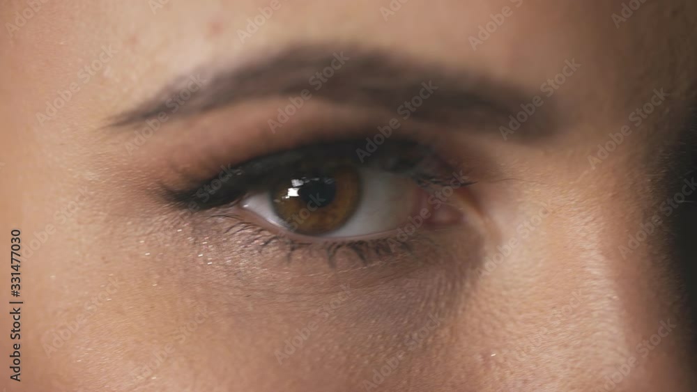 Close up of female eye beautiful bright makeup skin care cosmetic, mascara woman eyelashes fluffy eyebrow perfect face of fashion sexy model beauty products open eyes. Close up of female eye beautiful bright makeup skin care cosmetic, mascara woman eyelashes fluffy eyebrow perfect face of fashion sexy model beauty products open eyes.