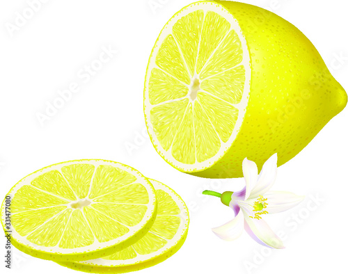 Half lemon and slices of lemon. Vector.