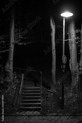 A dark and grim image of stairs leading into a black forest illuminated by a street light