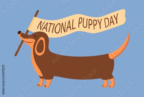 Merry dachshund carries a flag with the inscription National Puppy Day. Lovely animal, people best friend, favorite pet. National Dog Day. Colorful illustration cartoon style