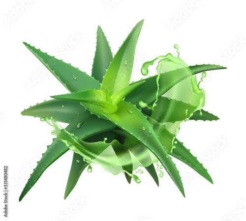 Aloe realistic plant. Green aloe vera, medicine plant and juice splash, natural cosmetology component and skin cream isolated vector medical illustration
