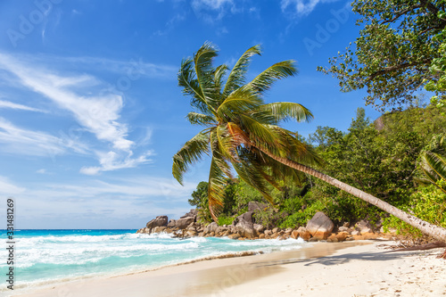 Seychelles Anse Georgette beach Praslin island palm vacation holidays paradise sea