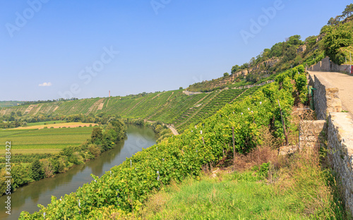 Weinbaugebiet Hessigheimer Felsengärten am Neckar photo