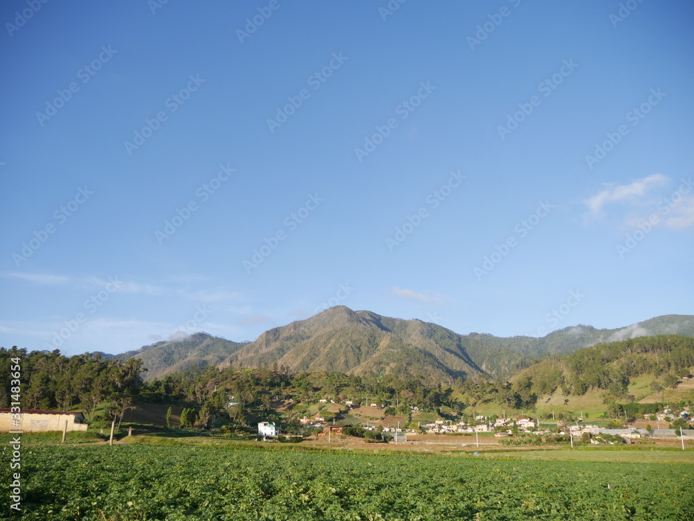 constanza camp view constanza camp view