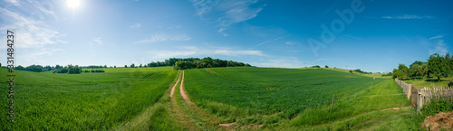 green meadow under the blue sky © luchschenF