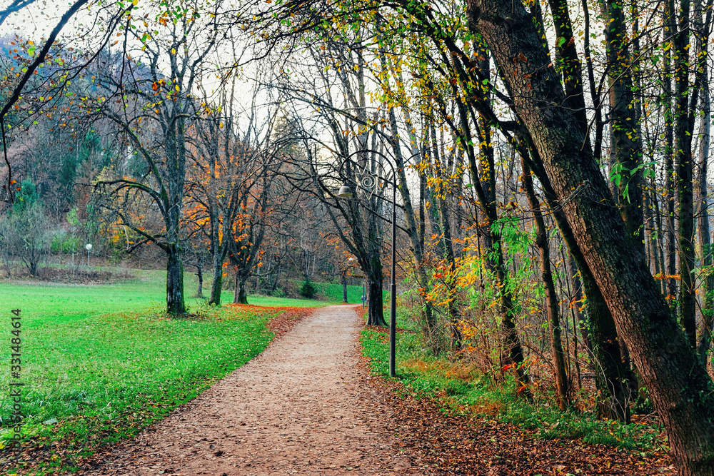 Beautiful landscape view in park in Bled Beautiful landscape view in park in Bled