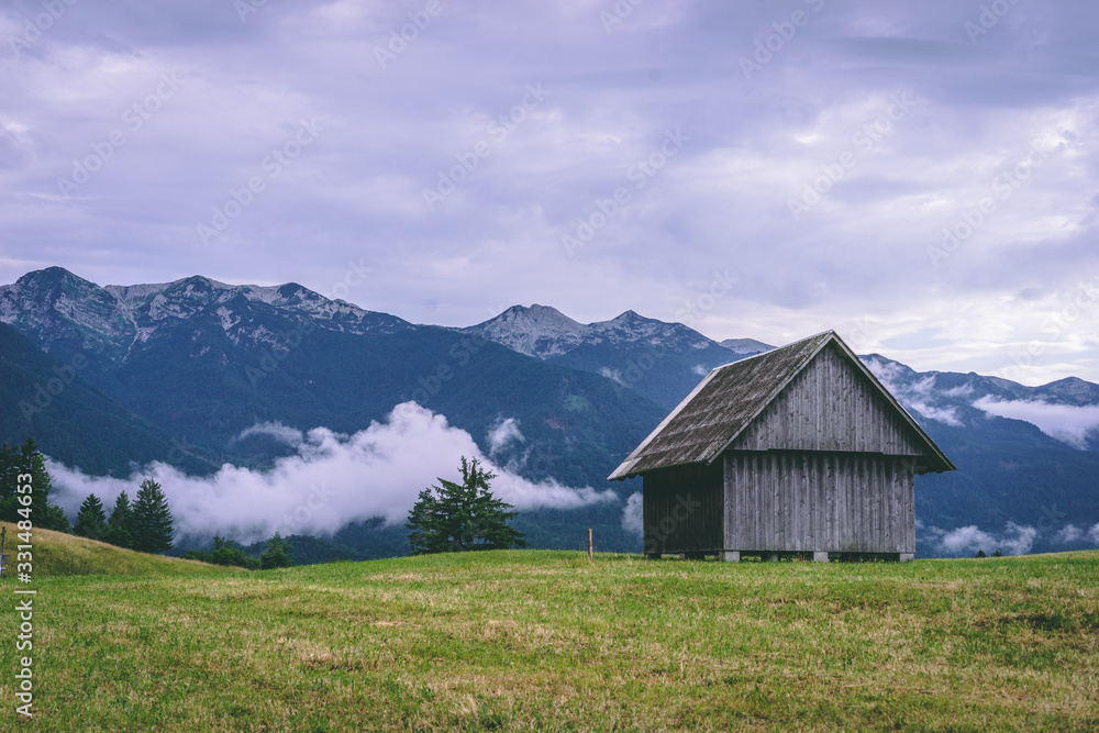 View over Slovenian Alps, landscape with hay sheds, paths, trees and clouds