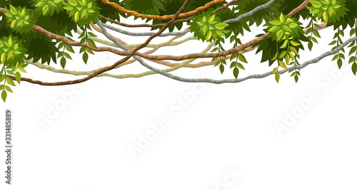Liana branches and tropical leaves. Cartoon frame plants of jungle with space for text. Isolated vector illustration on white background.