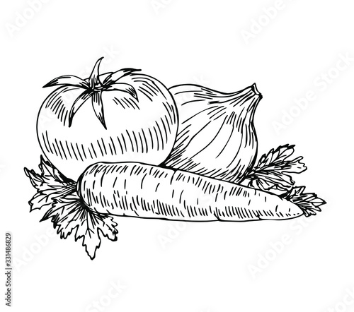 Tomato, onion, carrot, parsley. Ingredients in line art style.