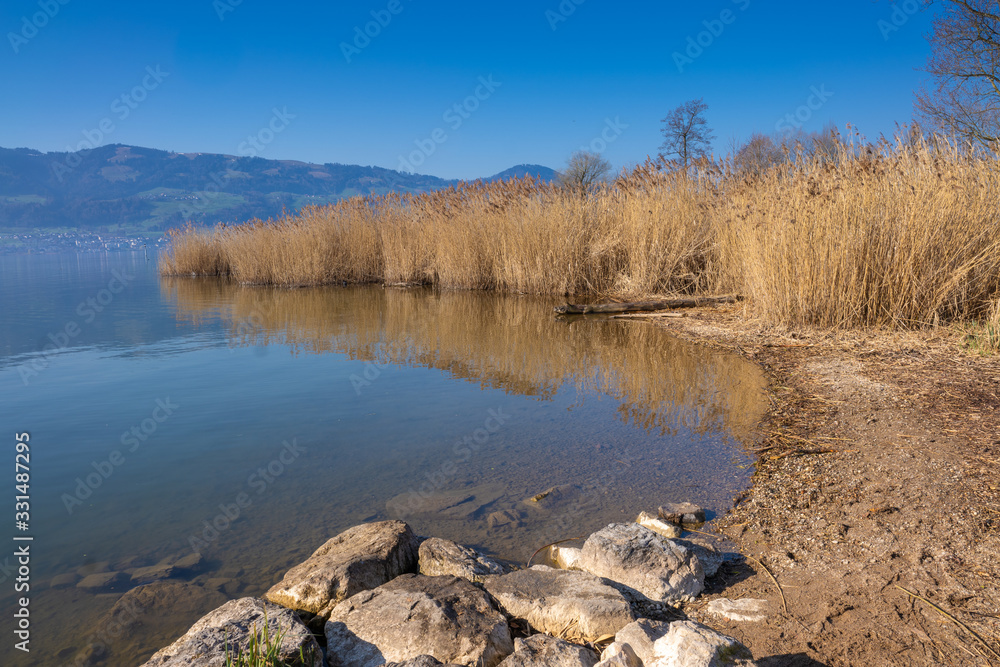 Beautiful coastal landscapes along the shores of the Upper Zurich Lake, Rapperswil-Jona, Sankt Gallen, Switzerland Beautiful coastal landscapes along the shores of the Upper Zurich Lake, Rapperswil-Jona, Sankt Gallen, Switzerland