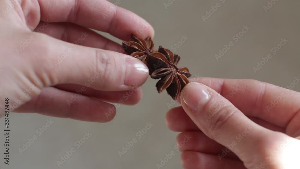 young woman holding star anise in her hand young woman holding star anise in her hand