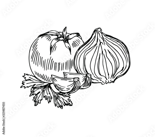 Fototapeta Tomato, onion, garlic, persley. Ingredients in line art style.