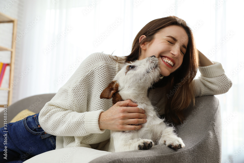 Young woman with her cute Jack Russell Terrier on sofa at home. Lovely pet Young woman with her cute Jack Russell Terrier on sofa at home. Lovely pet