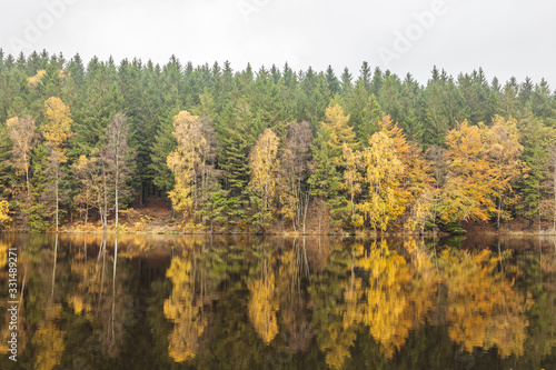 Small forest lake on a sunny autumn morning in Soderasen national park  Sweden.