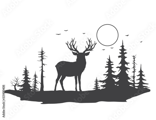 Deer in forest