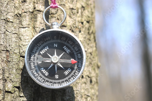 Old iron compass on tree in forest