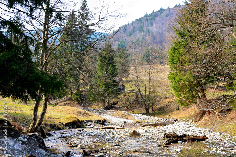 Early spring in the forest. Typical landscape in Transylvania, Romania. Green landscape in the midsummer, in a sunny day Early spring in the forest. Typical landscape in Transylvania, Romania. Green landscape in the midsummer, in a sunny day