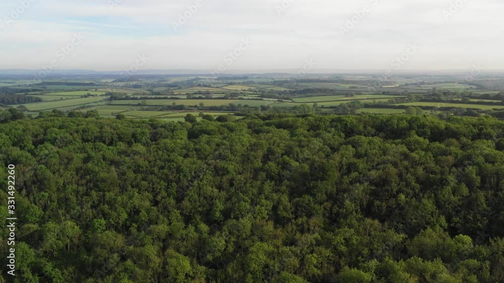 Aerial view of British forest pushes forward to reveal countryside Aerial view of British forest pushes forward to reveal countryside
