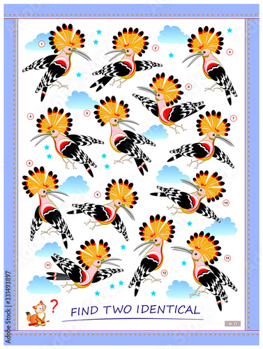 Logic puzzle game for children and adults. Find two identical hoopoes. Printable page for kids brain teaser book. Developing spatial thinking skills. IQ training test. Flat vector cartoon image.
