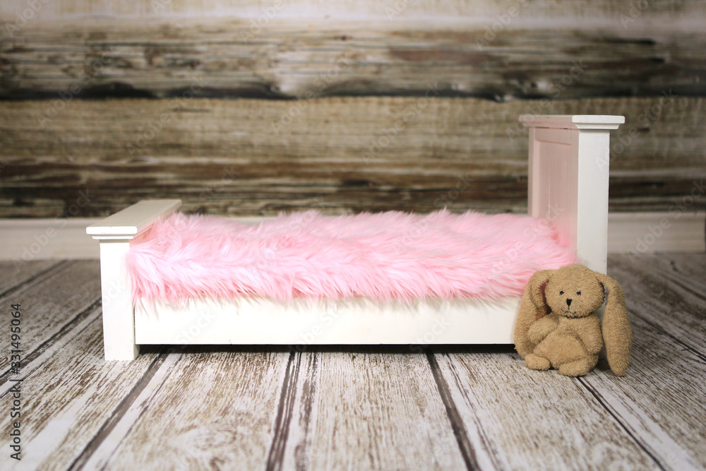 Digital Background to Insert Sleeping Infants, Pets or Children Digital Background to Insert Sleeping Infants, Pets or Children