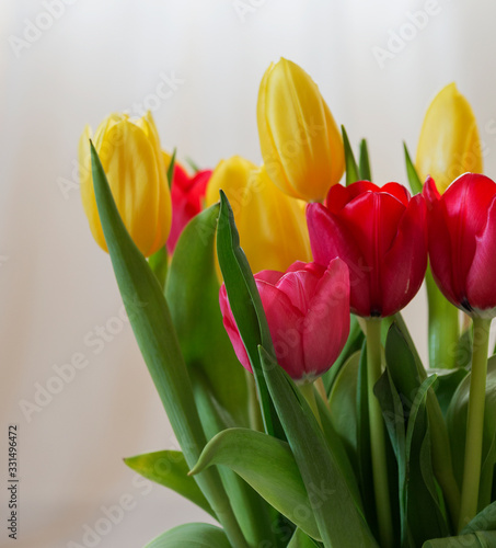 bouquet de tulipes rouges et jaunes 