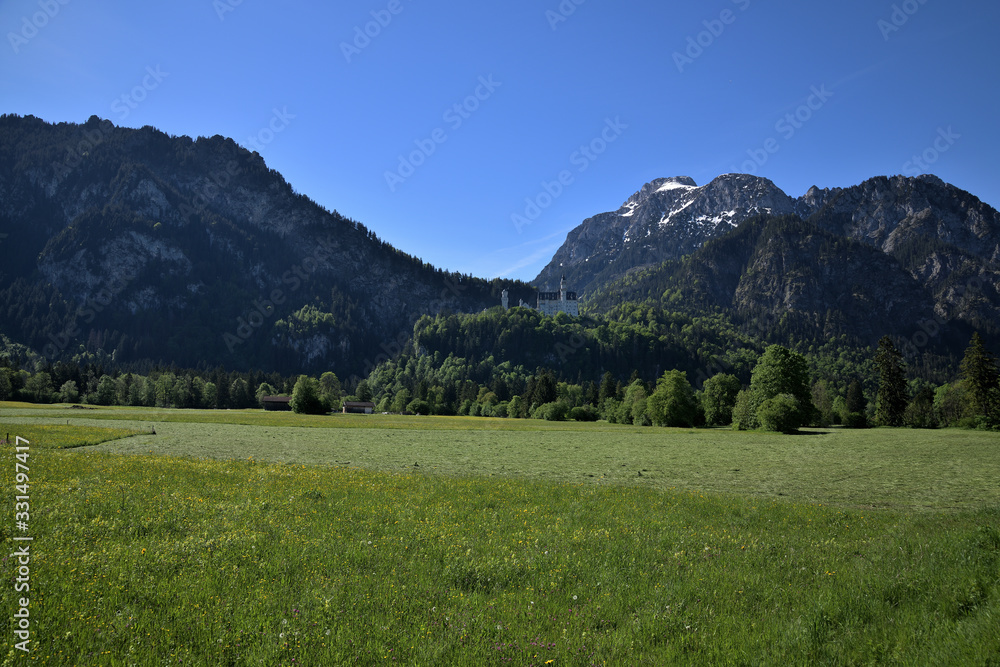 Schloss Neuschwanstein in Sommerlichen Landschaft Schloss Neuschwanstein in Sommerlichen Landschaft