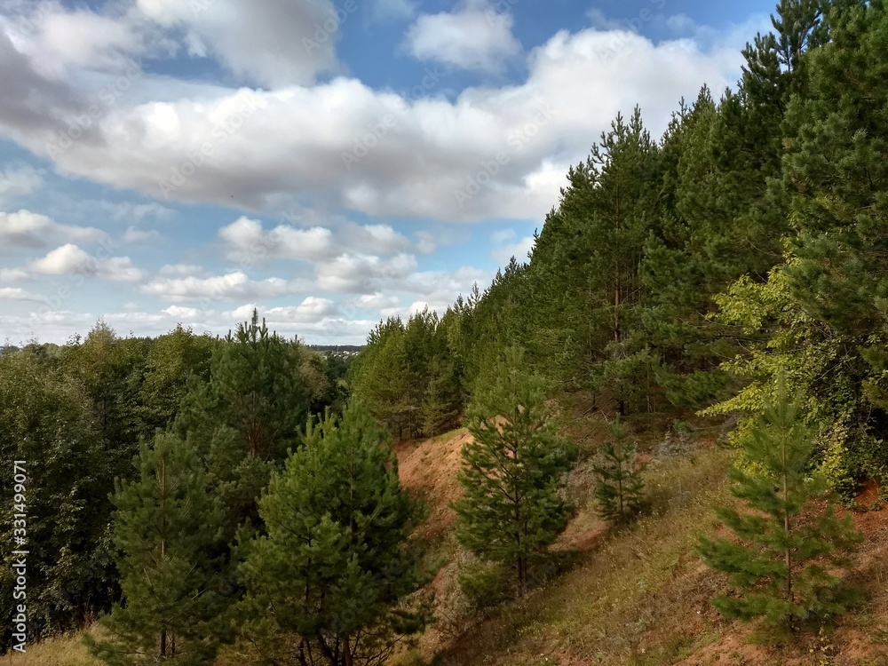 Fototapeta premium beautiful blue sky with clouds over a green forest