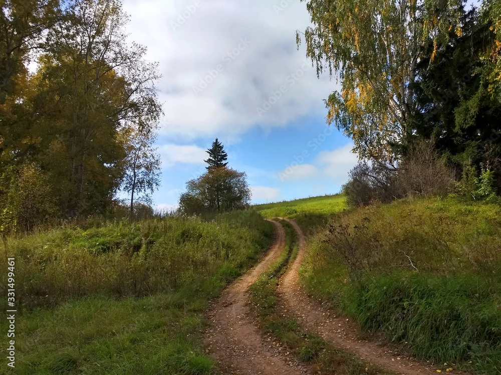 summer road through the forest to the fields on a beautiful Sunny day summer road through the forest to the fields on a beautiful Sunny day