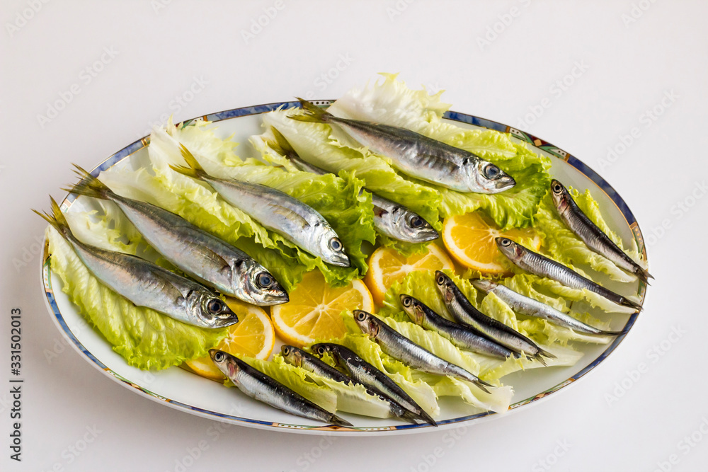 Uncooked horse mackerel fish Uncooked horse mackerel fish