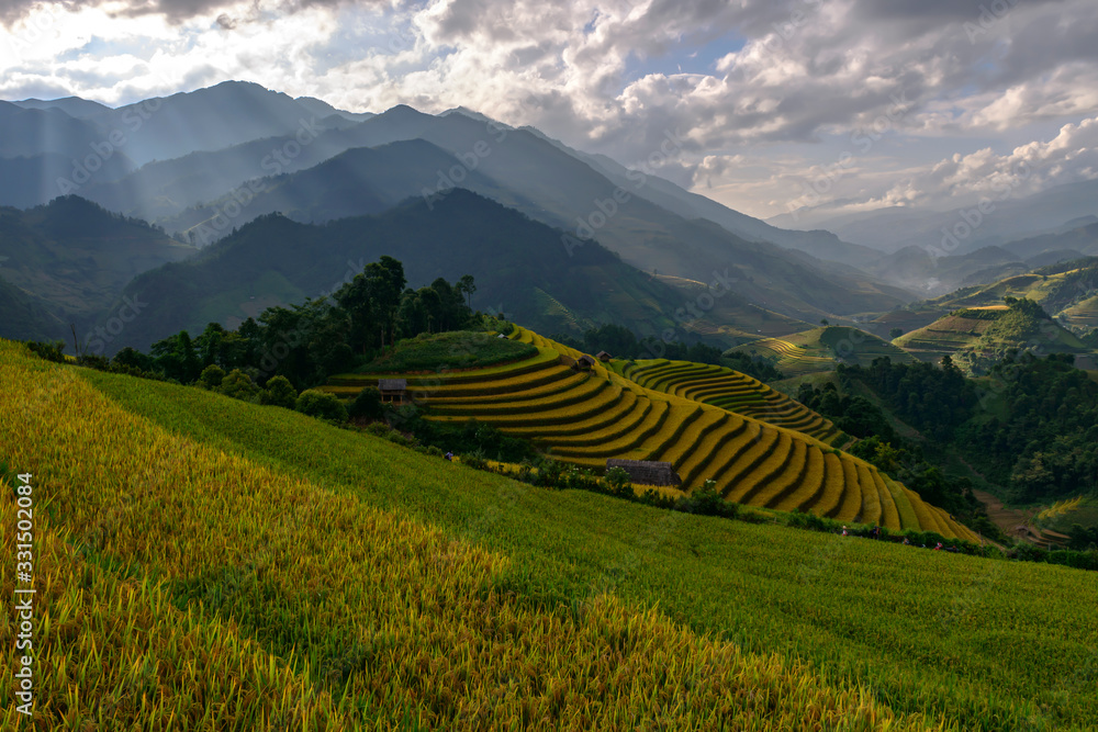 beautiful rice terraces, in Mu cang chai ,Yenbai, Vietnam.