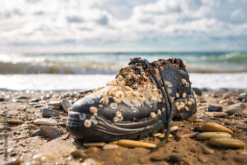 Concept of environmental protection and pollution. An old Shoe, covered with shells, lies on the shore. In the background, the waves of the ocean. Copy space and close up