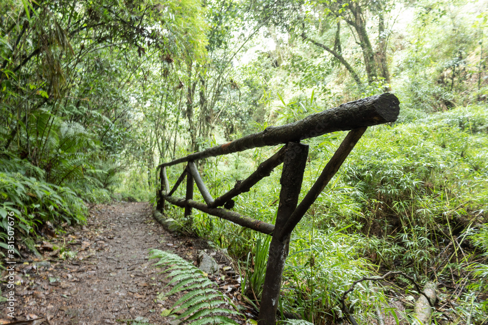 Old Wooden fence with trekking path in middle of rainforest of andean mountains. Ideal photography for adventure, hiking and sports Old Wooden fence with trekking path in middle of rainforest of andean mountains. Ideal photography for adventure, hiking and sports