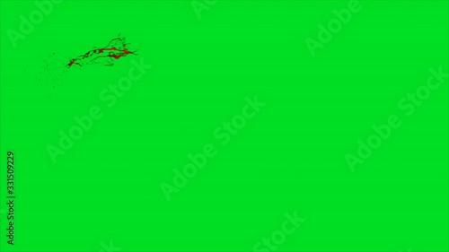 Blood splash  on green screen background 