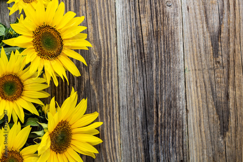 Autumn background with yellow sunflowers on old brown wooden board