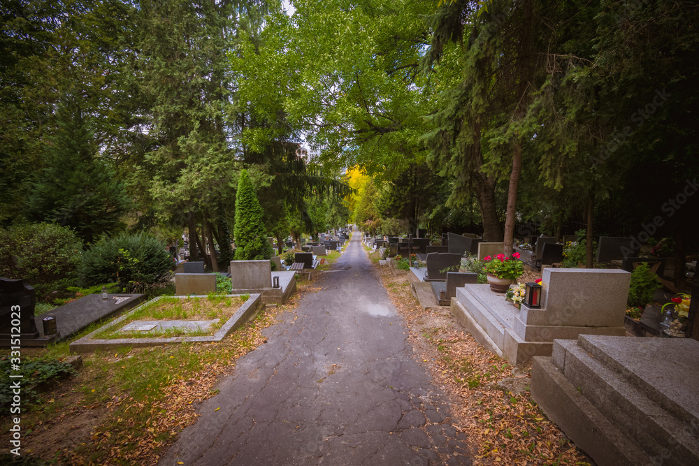 Obraz premium tombs and graves alley at the cemetery during All Saints Day