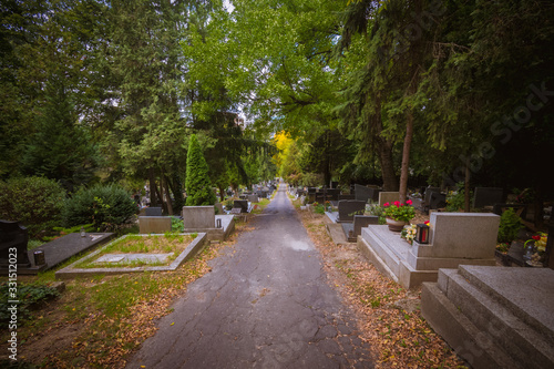 tombs and graves alley at the cemetery during All Saints Day