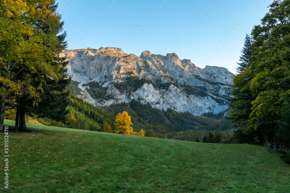 Early morning in the region of Hochschwab, Austria. Golden leaves of trees waiting to catch the first sun beams of the day. High mountain ranges in the back. Golden fall in Alps.