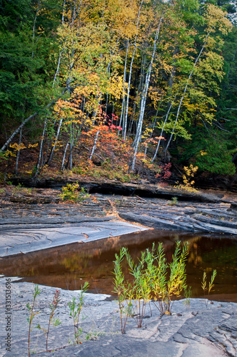 Autumn color along the exposed shale riverbed of the Presque Isle River in the Porcupine Mountains Wilderness State Park  Michigan.