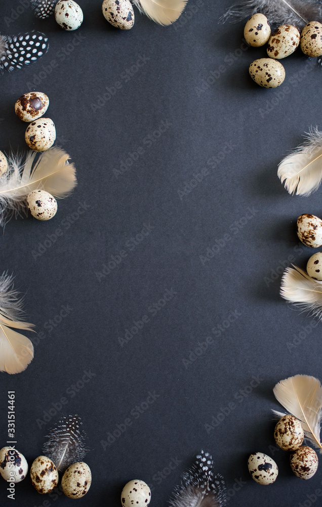 Quail eggs with beautiful feathers on a black background. Quail eggs with beautiful feathers on a black background.