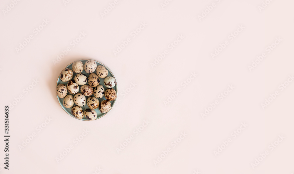 Overquail eggs with young sprigs of green plants on a light background. Overquail eggs with young sprigs of green plants on a light background.