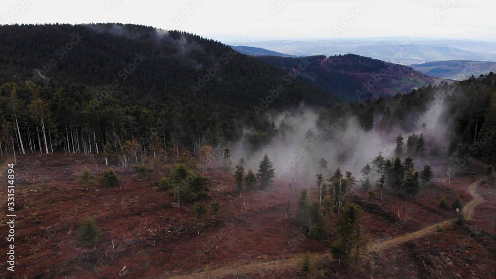 Hill Fog & Forest - Pilat - FR - 2- drone - photo