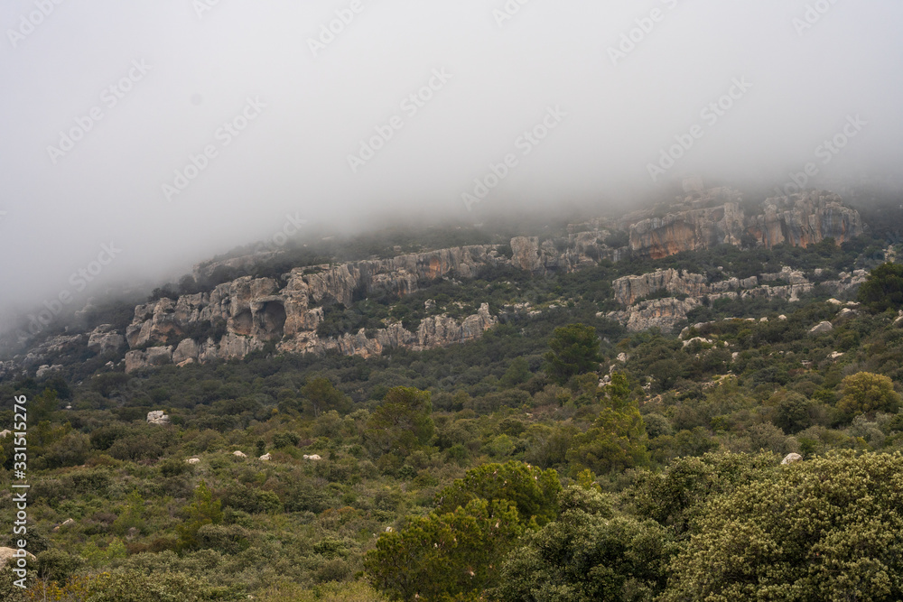 Naklejka premium Le Bargou