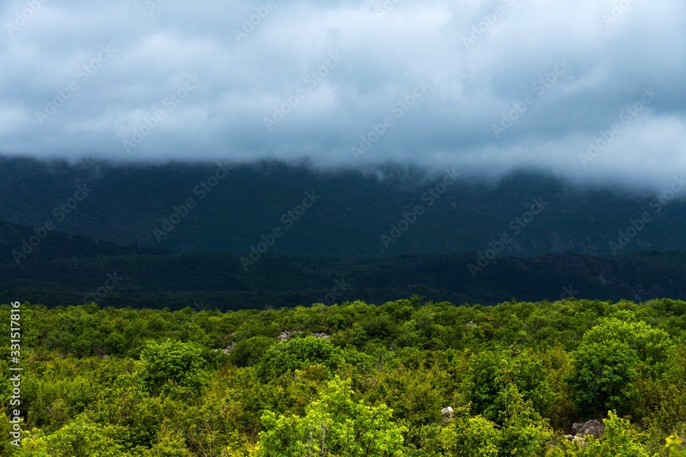 Fototapeta premium mountain