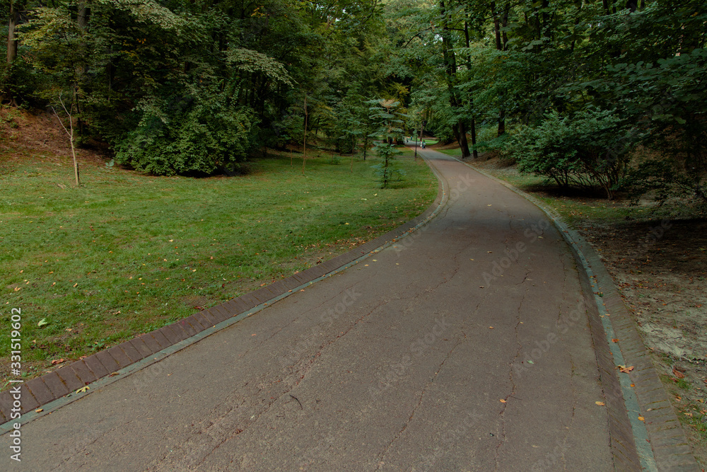 empty asphalt road in park without people here walking site space in fresh nature environment space empty asphalt road in park without people here walking site space in fresh nature environment space